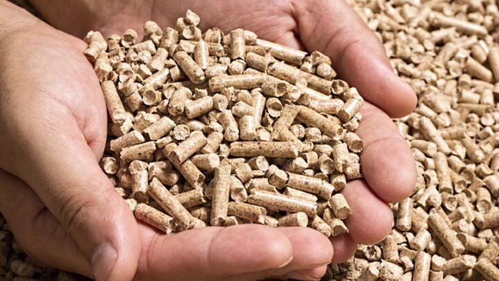 3 astuces pour trouver du pellet pas cher