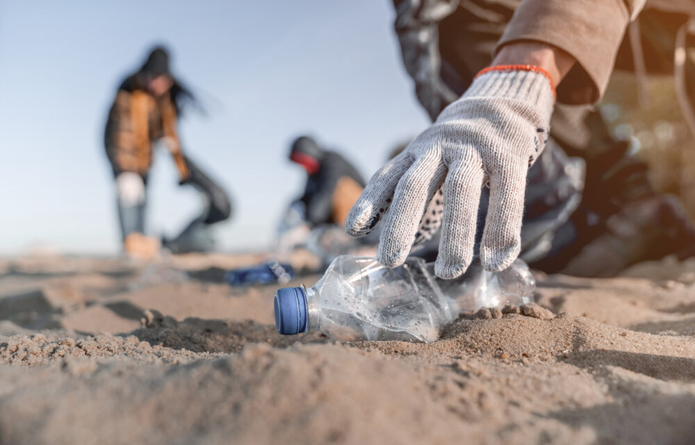 Sensibiliser les personnes à l’écologie : Comment s’y prendre ?