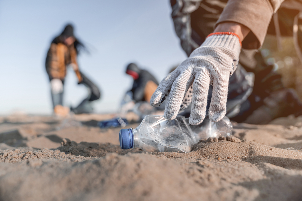 sensibilisation à l'écologie