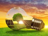 Opter pour des panneaux photovoltaïques pour un habitat écologique