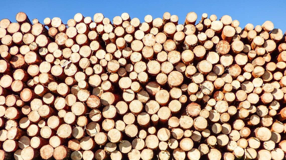 Quelles sont les différentes variétés des bûches de bois densifiées ?
