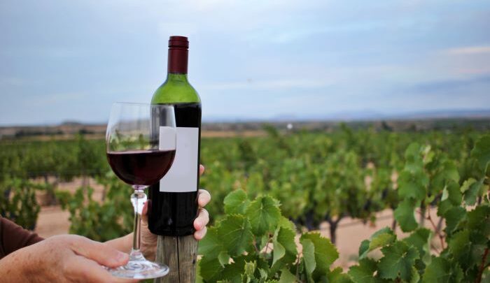 Vins bio : pourquoi opter pour ces produits ?