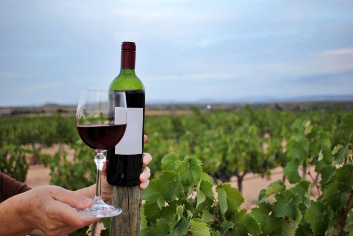 Vins bio : pourquoi opter pour ces produits ?