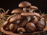 Les champignons shiitake : bienfaits pour renforcer votre système immunitaire