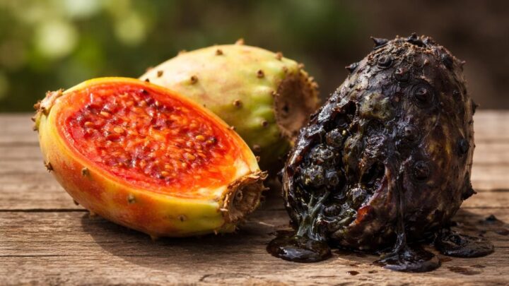 Amateurs de figue de barbarie : attention à la version toxique de ce fruit!